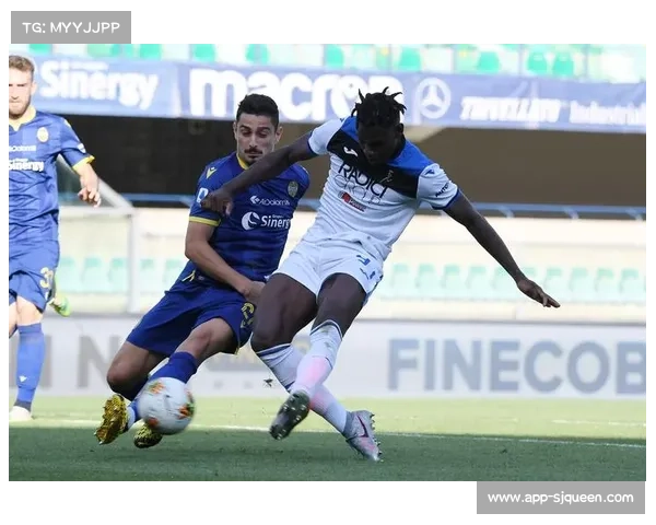 维罗纳主场草坪荣获意甲最佳养护团队殊荣 维罗纳主场草坪荣获意甲最佳养护团队殊荣